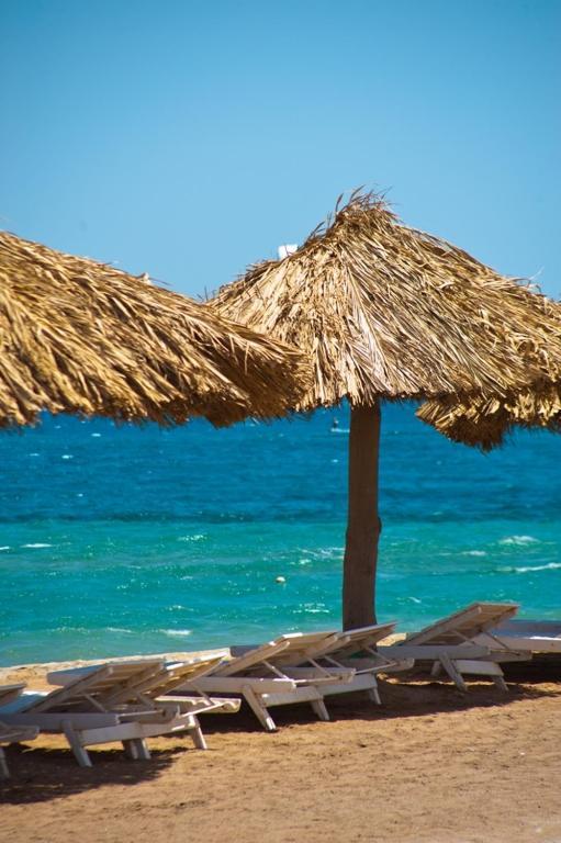 Jasmine Village الغردقة المظهر الخارجي الصورة