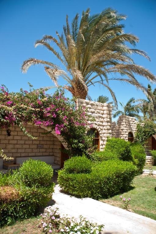 Jasmine Village الغردقة المظهر الخارجي الصورة